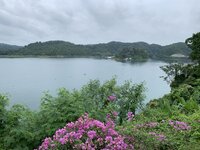 IMG_1501.jpeg