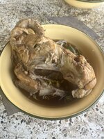 IMG_4955.jpeg