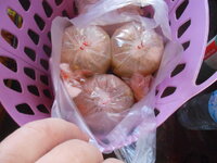 DSCN1875.JPG