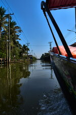 IMG_1361.jpeg
