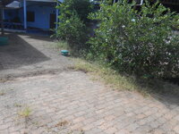 DSCN1881.JPG