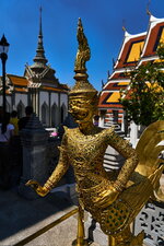 IMG_1371.jpeg