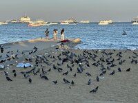 IMG_6557.jpeg