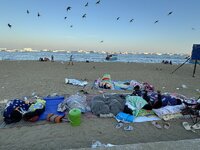IMG_6560.jpeg