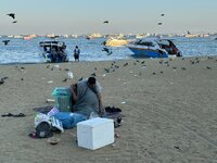 IMG_6561.jpeg