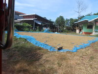 DSCN1891.JPG