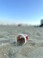 IMG_6590.jpeg