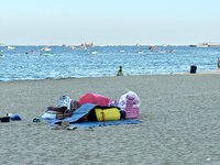 IMG_6594.jpeg