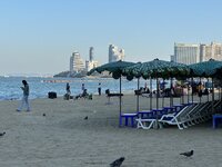 IMG_6618.jpeg