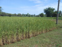 DSCN1893.JPG