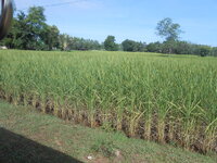 DSCN1894.JPG