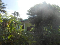 DSCN1910.JPG