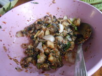 DSCN1914.JPG