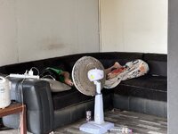 IMG_6812.jpeg