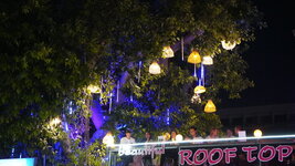 DSC00517.JPG