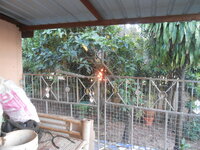 DSCN1962.JPG