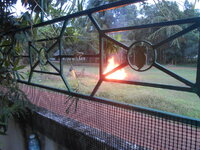 DSCN1964.JPG