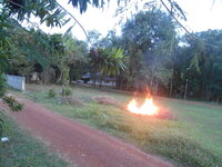 DSCN1970.JPG