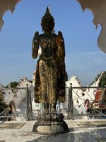 IMG_7351.jpeg