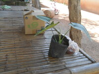 DSCN2033.JPG