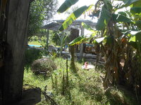 DSCN2034.JPG