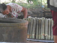 DSCN2024.JPG