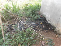 DSCN2047.JPG