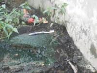 DSCN2048.JPG