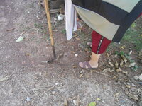 DSCN2036.JPG