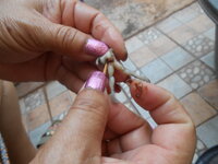 DSCN0875.JPG