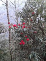 2017-03-24 13.01.53.jpg