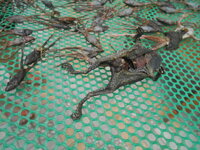 DSCN0943.JPG