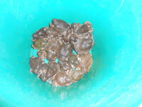 DSCN9306.JPG
