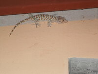 DSCN9276.JPG