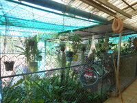 DSCN0097.JPG