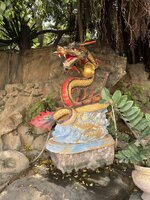 IMG_7552.jpeg