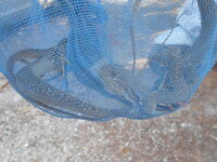 DSCN9646.JPG