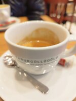 IMG_20241204_152737.jpg