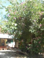 DSCN2072~2.JPG