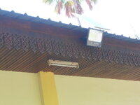 DSCN2082.JPG