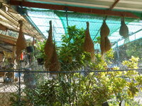 DSCN9817.JPG