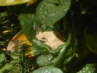 DSCN0094.JPG