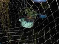 DSCN9755.JPG