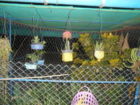 DSCN9751.JPG