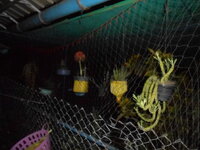 DSCN9750.JPG