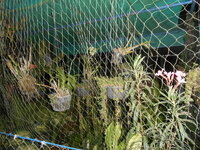 DSCN9757.JPG