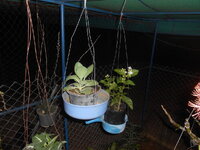 DSCN9753.JPG