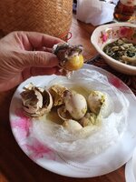 IMG_20230601_085719_373.jpg