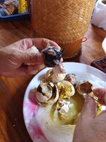 IMG_20230601_090040_230.jpg