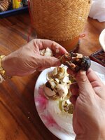 IMG_20230601_090116_626.jpg